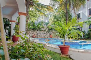 Apartment Close 5th Ave And Playa Mamitas