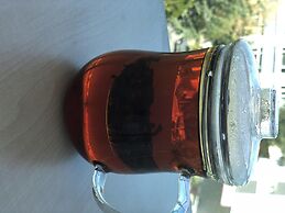 Single Host But Scenic House