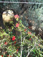 Meltemia Studio Samos Near the Beach