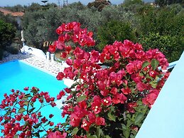 Meltemia Studio Samos Near the Beach