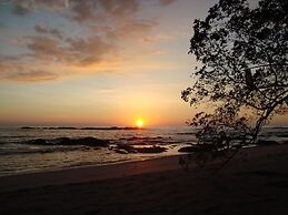 You Imagine Costa Rica Our Location Being on the Beach is What You Ima