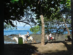 You Imagine Costa Rica Our Location Being on the Beach is What You Ima