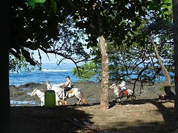 Rita Sonny Tropical Surf Cabina