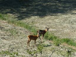 Panoramic Villa in Tuscany Rolling Hill, Well Connected, Everyday new 
