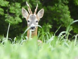 Panoramic Villa in Tuscany Rolling Hill, Well Connected, Everyday new 