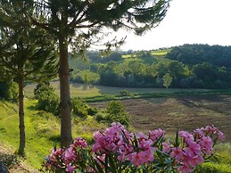 Panoramic Villa in Tuscany Rolling Hill, Well Connected, Everyday new 