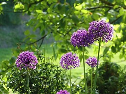 Panoramic Villa in Tuscany Rolling Hill, Well Connected, Everyday new 