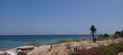 Beach Front Luxury Living Apartment