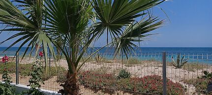 Beach Front Luxury Living Apartment