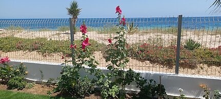 Beach Front Luxury Living Apartment
