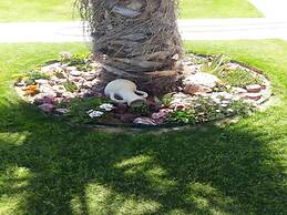 Beach Front Luxury Living Apartment