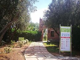 Mesllala 415 Janat Azaitoune