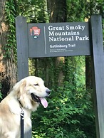 Viewpoint Condominiums