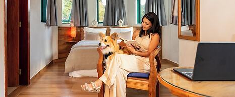 Castelo Piazzale - Campos do Jordão