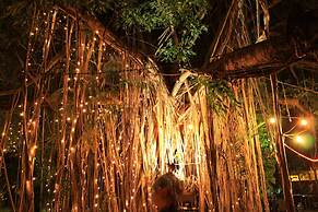 Banyan Tree Resort - Campsite