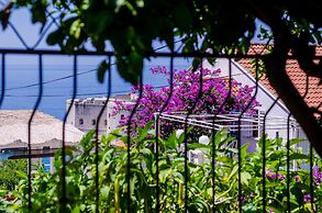 Ploce Apartments - Kate