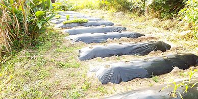 Asobi Base Yamabare House Ishigakijima