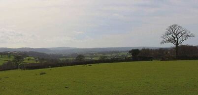 The Shearer's Hut, Sleeps 2, Wood Burner, Fire Pit