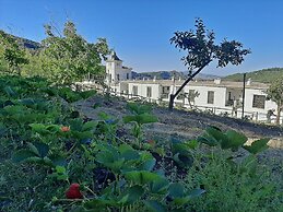 Hotel Apartamento Nueva Alcazaba