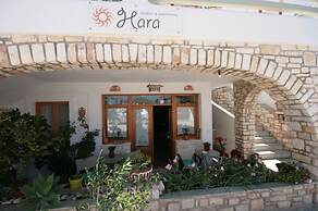 Hara Studios and Apartments