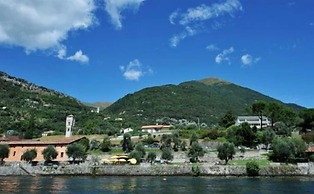 Antico Ulivo
