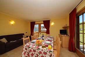 Sole Ski in- Ski out Mt.50