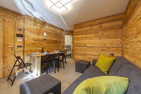 Marlies Ski in - Ski out Mt.50