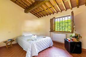 Villa Pallina With Pool