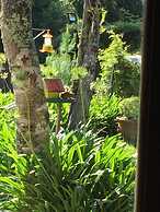 Pousada VillaSerrana