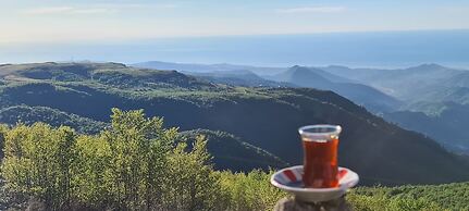 Flora Handüzü Resort & Wellness Bungalow Hotel