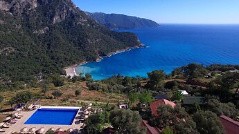 Olive Garden Kabak