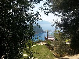 Olive Garden Kabak