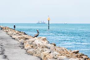 Venice Harbor 606