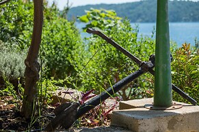 An Apartment Magnolia