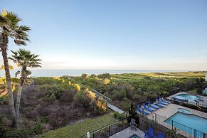 Cinnamon Beach Nautilus