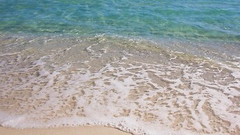 61 Batchelors Button