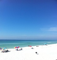 61 Batchelors Button