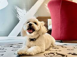 Mercure Galati Centrum