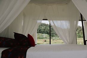 Natural View Sidemen Cottage