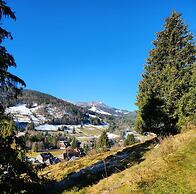 Hotel Hirschen Menzenschwand