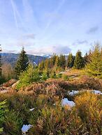 Hotel Hirschen Menzenschwand