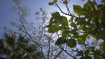 Artemis Comfort & Pleasure