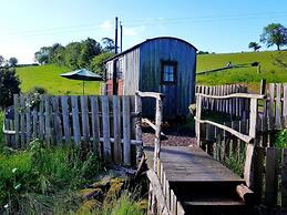 Eco Accommodation Cornflower Holiday