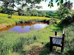 Eco Accommodation Cornflower Holiday