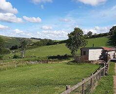 Foxglove Holiday Private Eco Accommodation