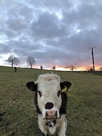 Foxglove Holiday Private Eco Accommodation