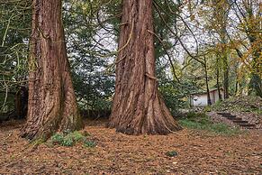 Tranquil Cabin Retreat in Carluke