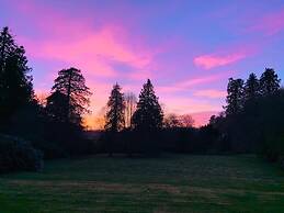 Tranquil Cabin Retreat in Carluke