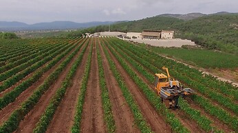 Mas Vidal Santes Creus