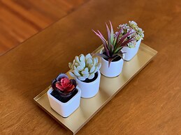 Cozy Bungalow in Downtown Loveland w/Free Bikes!